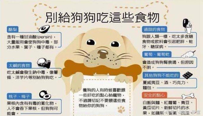 洋葱对宠物的危害,宠物洋葱中毒的急救措施
