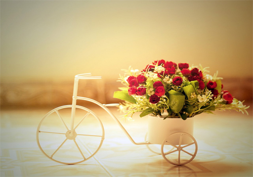 浣犳蹇冨惂濂冲０,浣犳蹇冨惂绮よ