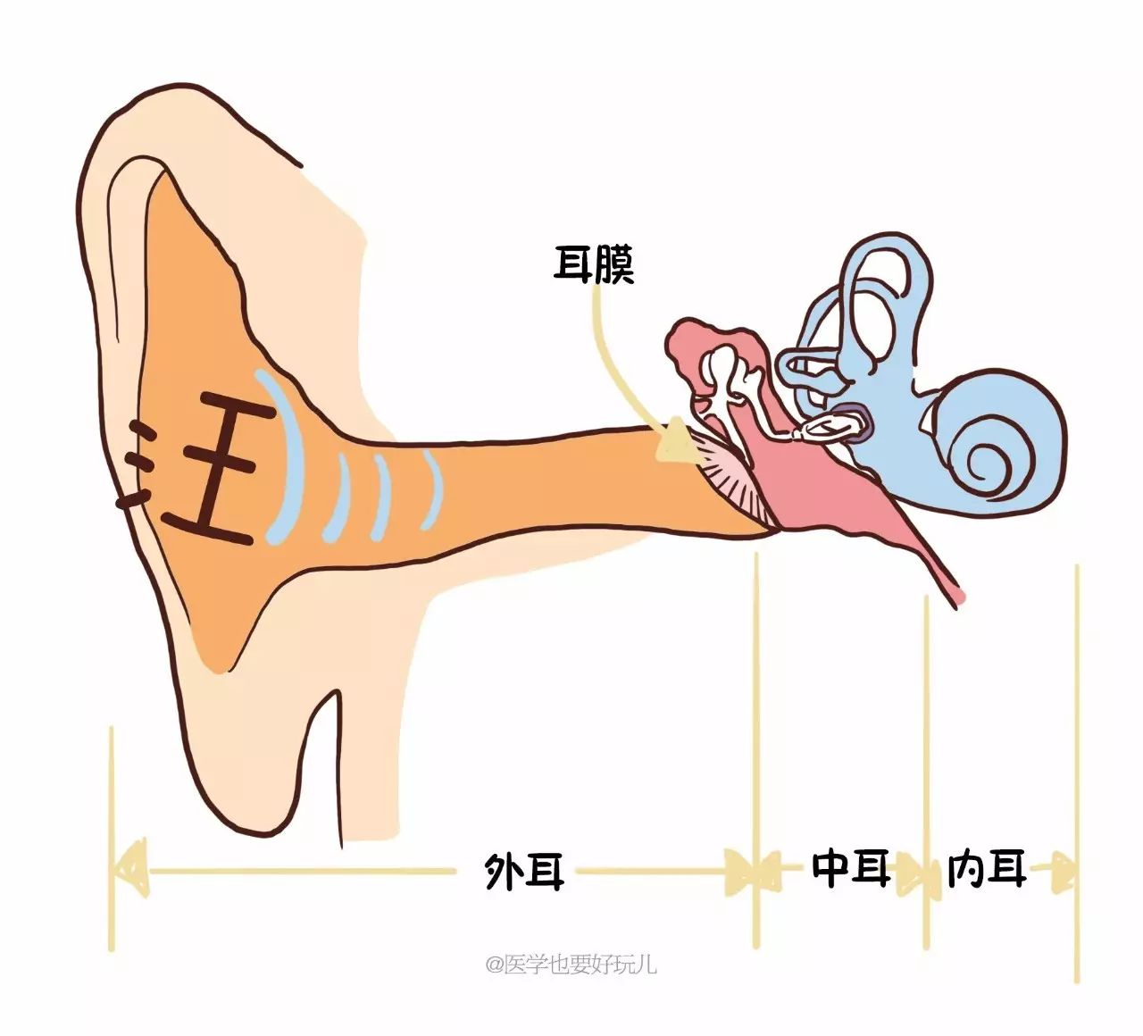 医学漫画科普｜国庆中秋出行坐飞机时，耳朵为什么会难受？
