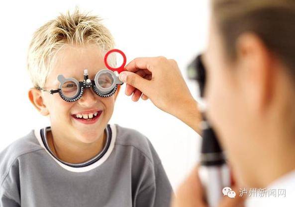 小松鼠能够吃什么食物,小松鼠能够吃什么