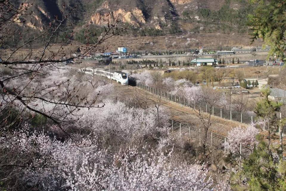 开往春天的列车图片唯美,开往春天的列车看图文章