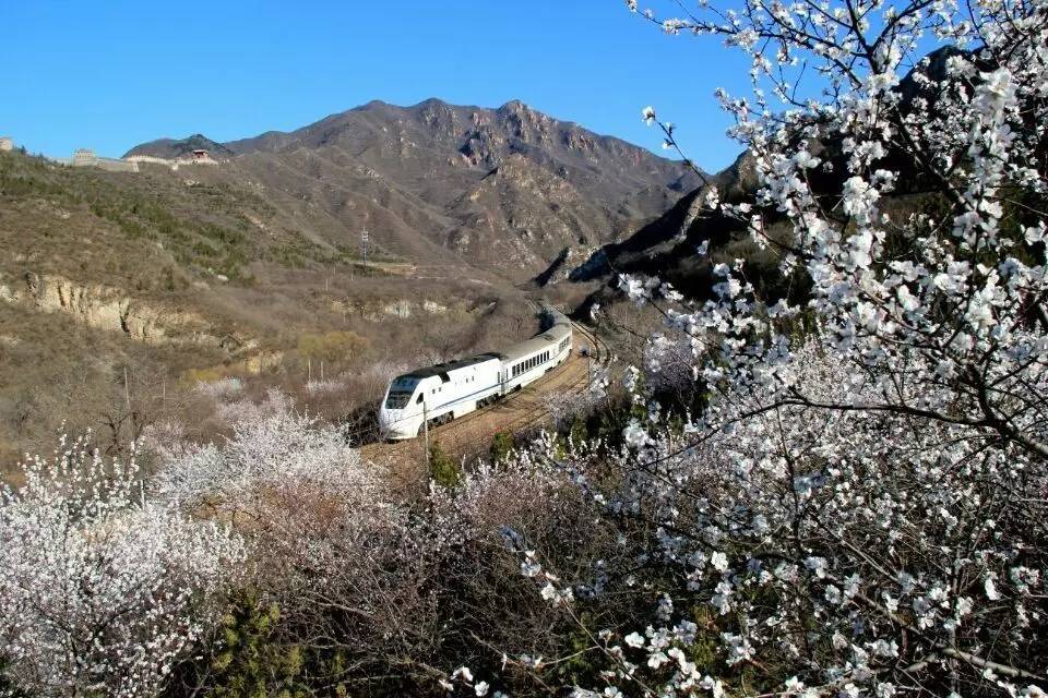 开往春天的列车图片唯美,开往春天的列车看图文章