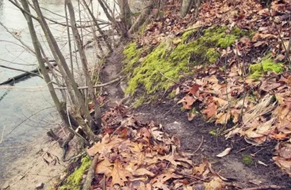 野外生存diy教你制作捕捉陷阱,野外求生陷阱简单大全