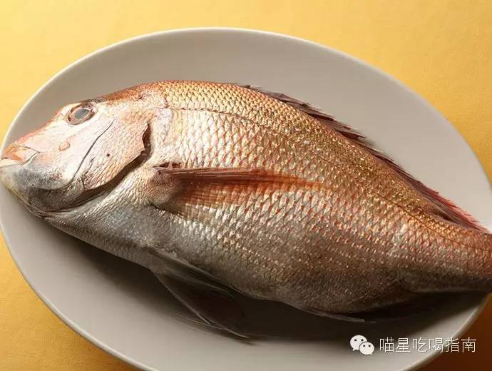 来一口甜口味的春天,来一口春天的味道