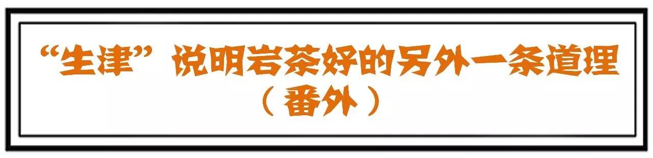 武夷岩茶回甘茶,武夷岩茶肉桂回甘