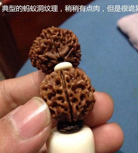 金刚菩提造假 (金刚菩提都用什么造假)