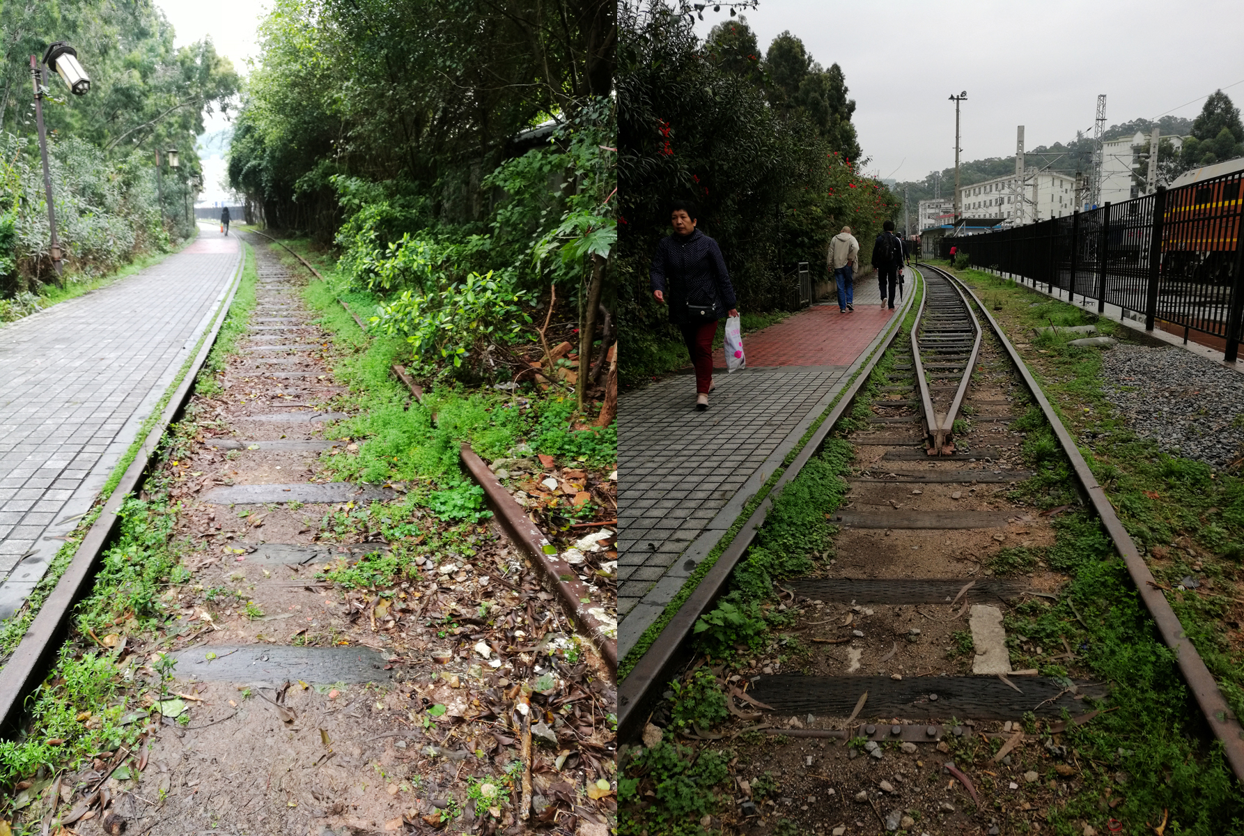 菲·独行侠·福州出发剑走偏锋厦门你可能没去过的美景