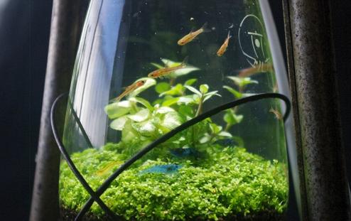 修复几十年前的马灯,旧马灯翻新全过程