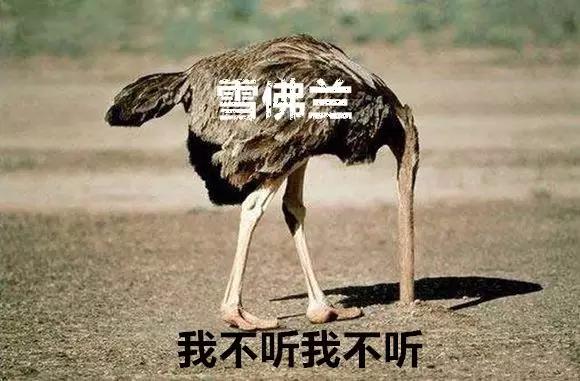 科鲁兹修车失败,科鲁兹通病能修好不