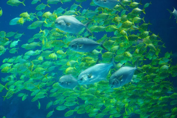 珠海长隆海洋王国2天1夜游玩攻略,最新珠海长隆海洋王国旅游攻略