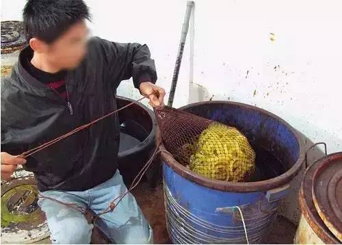 西藏的天珠,天珠造假的全过程视频