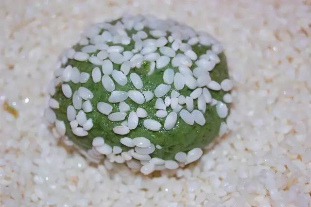 赶在清明之前，为自己做一只青团|一切时节皆与故土食物相关