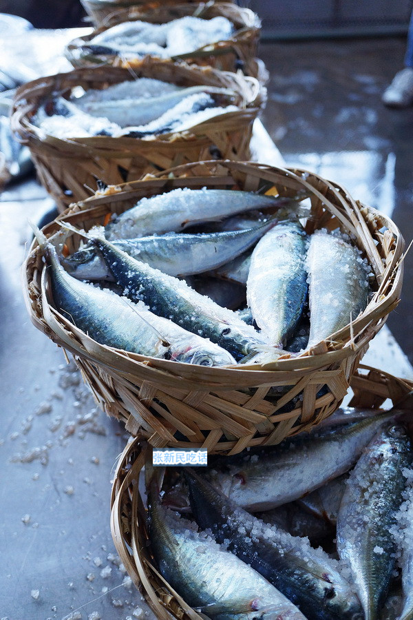 潮汕巴浪鱼和福建巴浪鱼的区别,巴浪鱼是不是淡水鱼