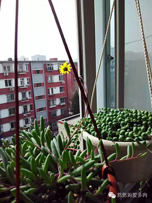 你们的名字有多土,你们的名字叫什么