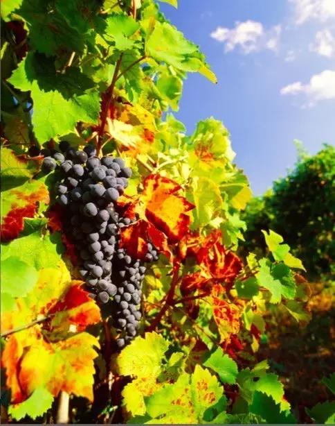 父母供自己读书花光了所有积蓄,父母花光积蓄送女儿留学