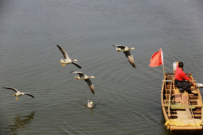 南宁合适夏天去的农家乐,南宁三塘农家乐排名前十名