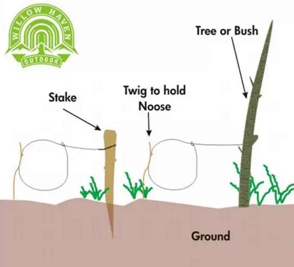 野外生存diy教你制作捕捉陷阱,野外求生陷阱简单大全