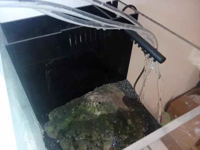 开缸的日记,开缸日记小鱼缸