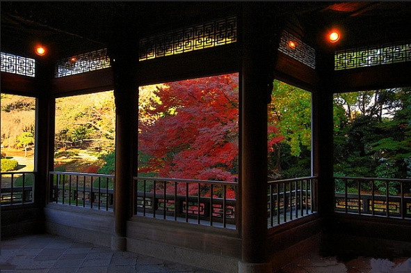 旅游景点樱花谷攻略,赏樱攻略和景点推荐