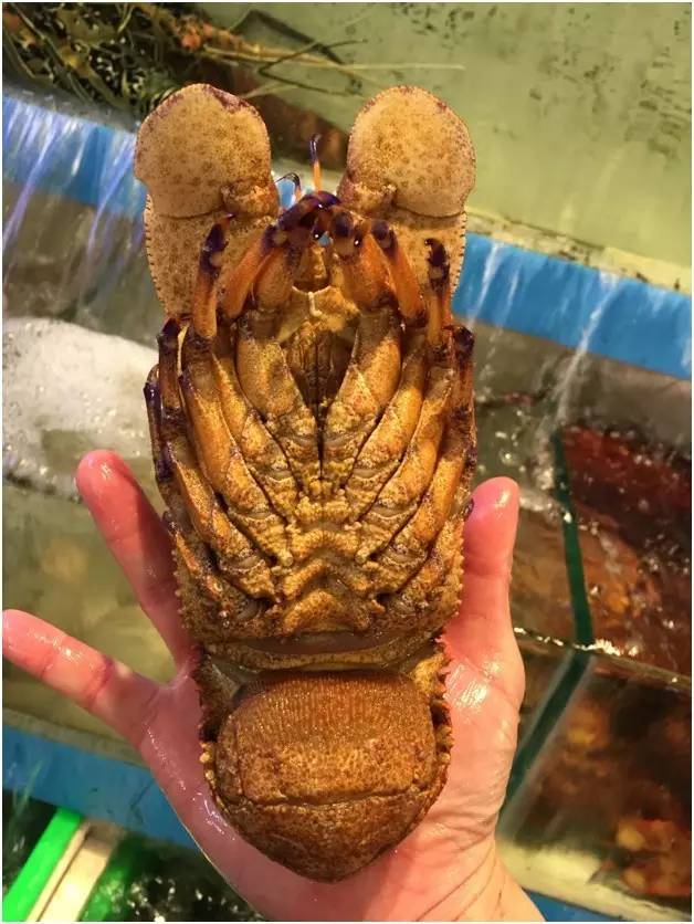 我在台湾生活32年,我在台湾生活