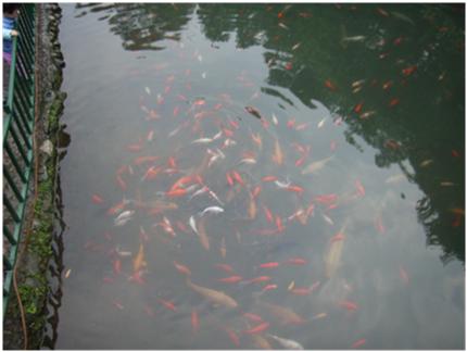 电子取证-缺陷硬盘图片文件恢复提取技术研究