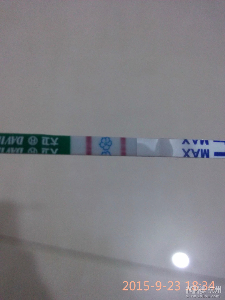 如愿生了个女宝,如愿备孕告捷的记录