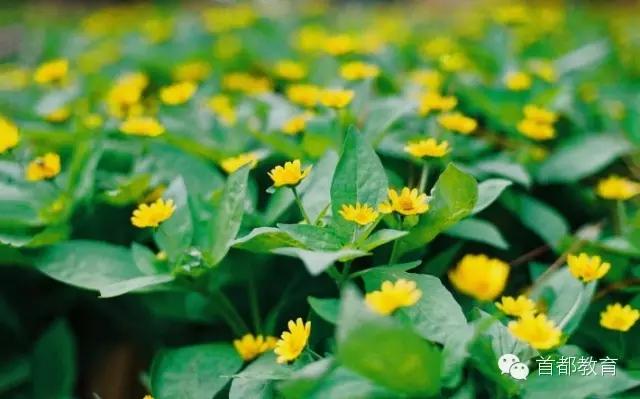 椋庝箮鑸為洨姝ｅ父璇簭,椋庝箮鑸為洨鍑鸿嚜璁鸿鍝噷