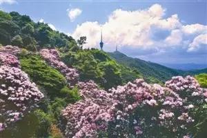 浪浪浪音乐完全版视频,久石让经典视听音乐会