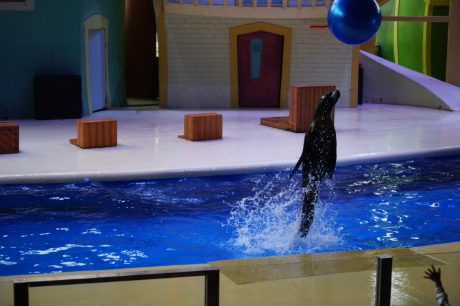 珠海长隆海洋王国2天1夜游玩攻略,最新珠海长隆海洋王国旅游攻略