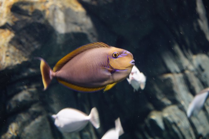 珠海长隆海洋王国2天1夜游玩攻略,最新珠海长隆海洋王国旅游攻略