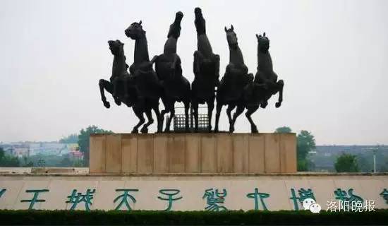 洛阳旅游攻略景点必去,洛阳白云山自驾游攻略