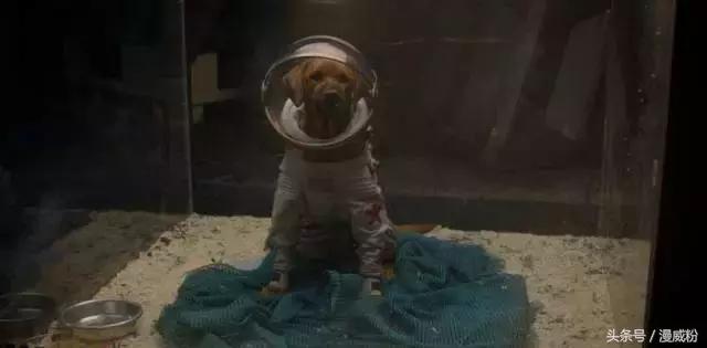 漫威电影出现钢铁侠的片段,漫威彩蛋钢铁侠继承者