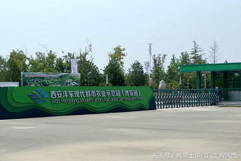 西安有银杏树旅游景区,西安旅游排名前十的景区有哪些