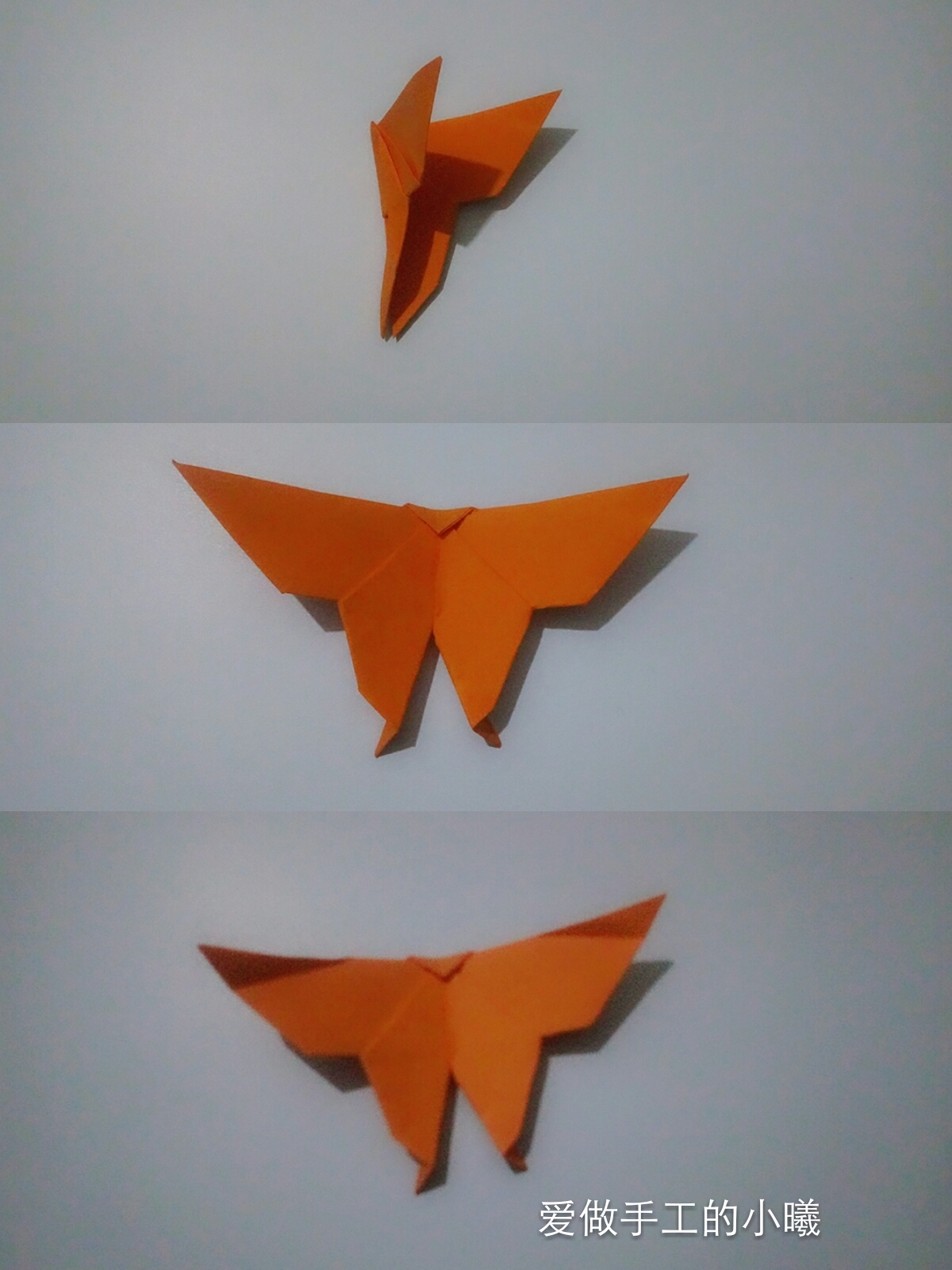 蝴蝶折纸教程看过来,所有蝴蝶折纸教程