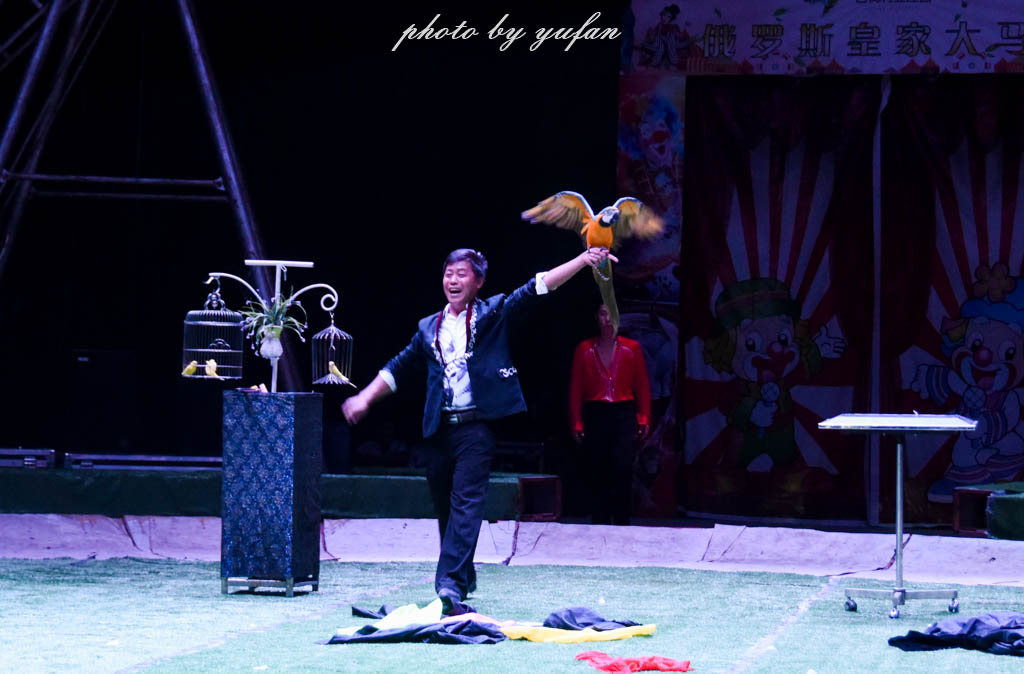 国庆何须东奔西走,国庆长假何必远游