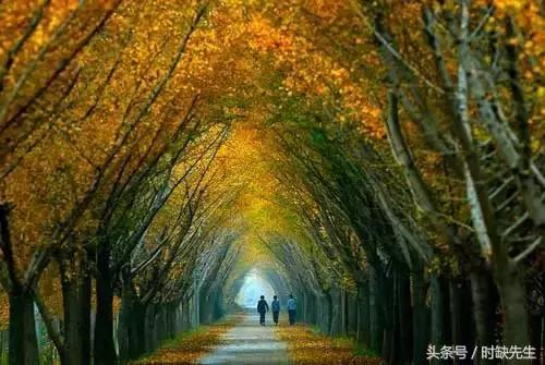 唉，南阳人表示这个国庆真的很蛋疼