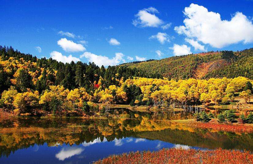 云南省的著名景区有哪些,云南省弥勒县景区有哪些