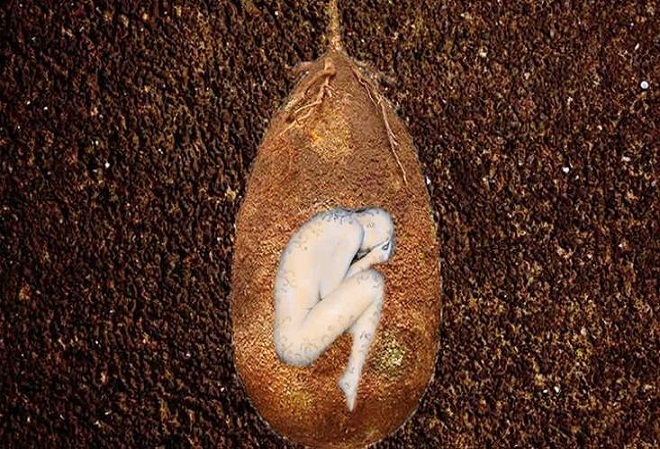 南极发现的人形神秘生物,考古行家真的发现卵生蛋吗