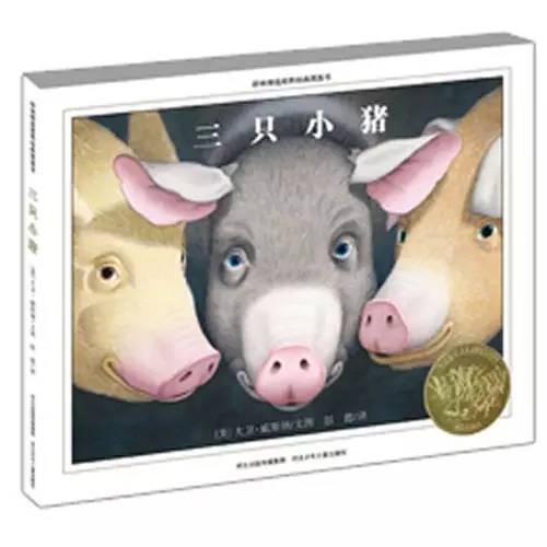 合适孩子看的书0到3岁绘本,绘本3-6岁经典绘本故事书单第一名