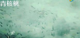 刷我滴卡泰国话,刷我滴卡泰国原版