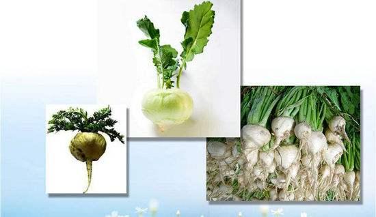 治疗痛风的水果和坚果,新疆专治痛风药丸