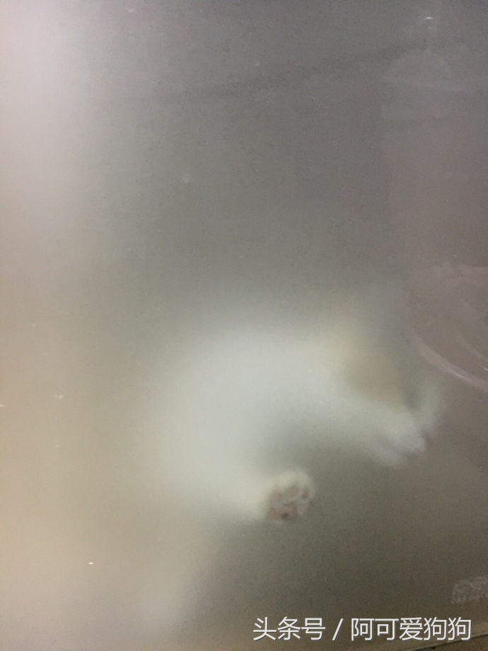 有一只会关心主人的喵星人可真好！