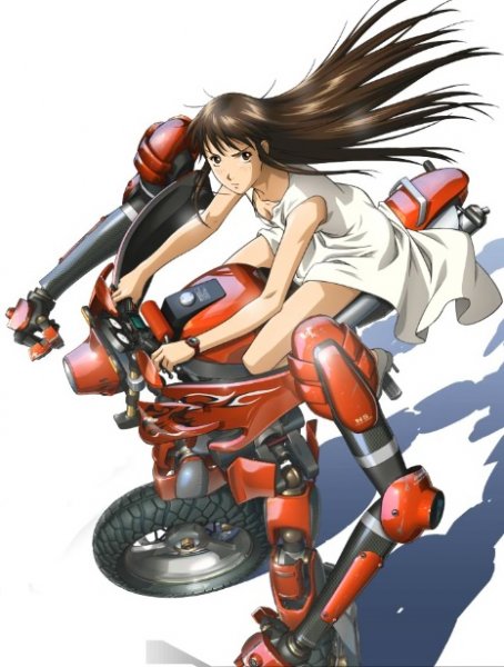 起舞！背骑上的梦！关于背骑少女