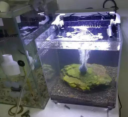 开缸的日记,开缸日记小鱼缸