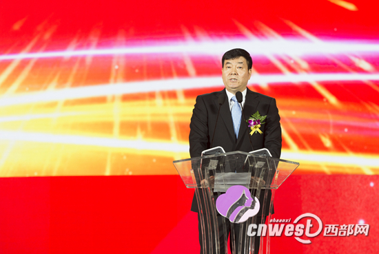 陕西三八妇乐集团,陕西三八妇乐科技公司