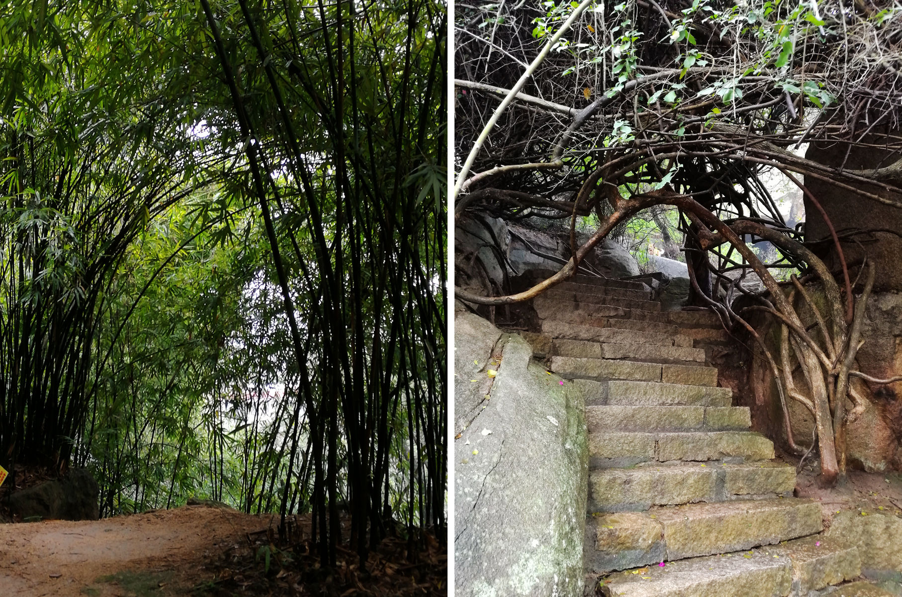 菲·独行侠·福州出发剑走偏锋厦门你可能没去过的美景