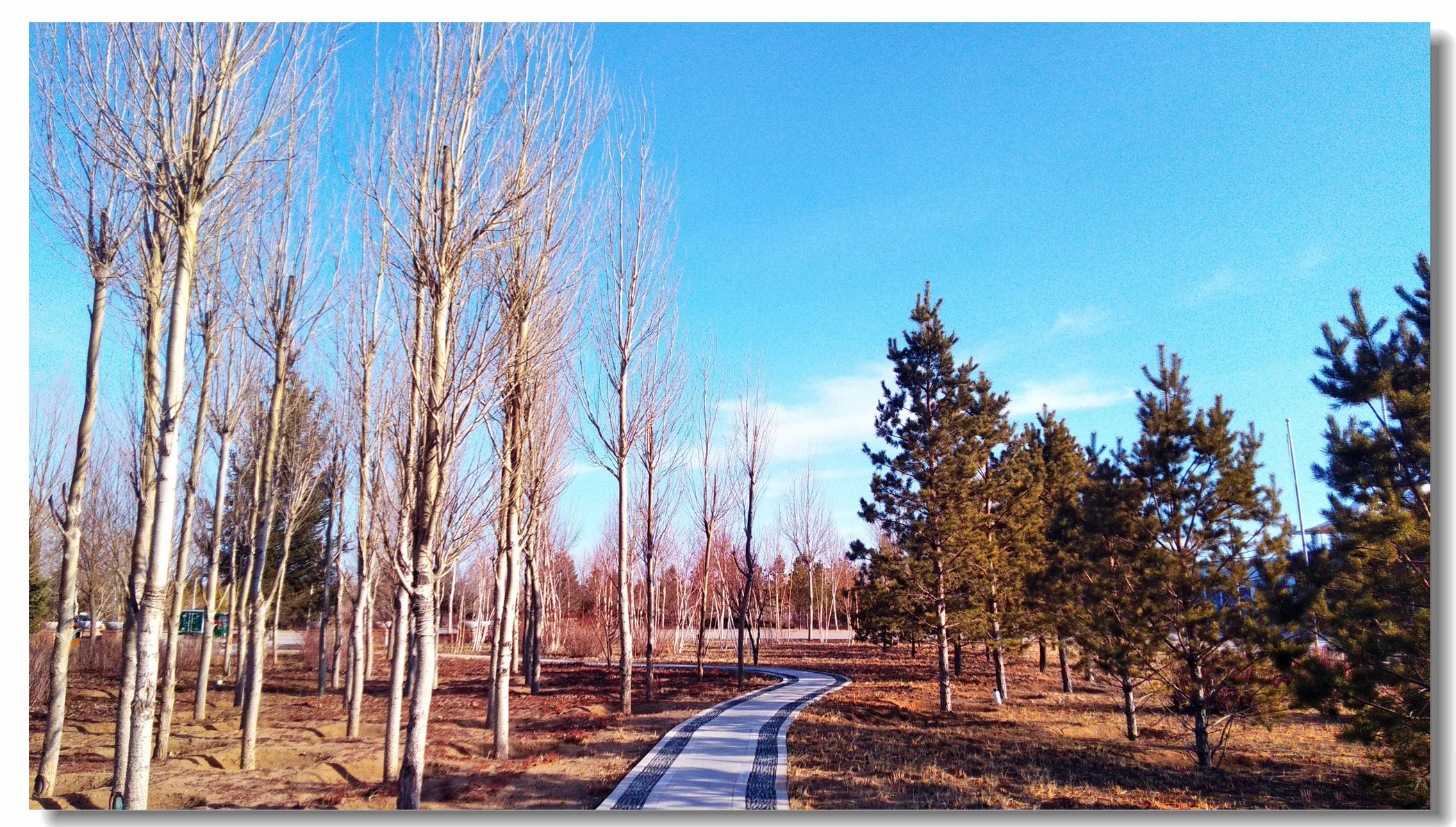 海信a151测评,海信a100评测