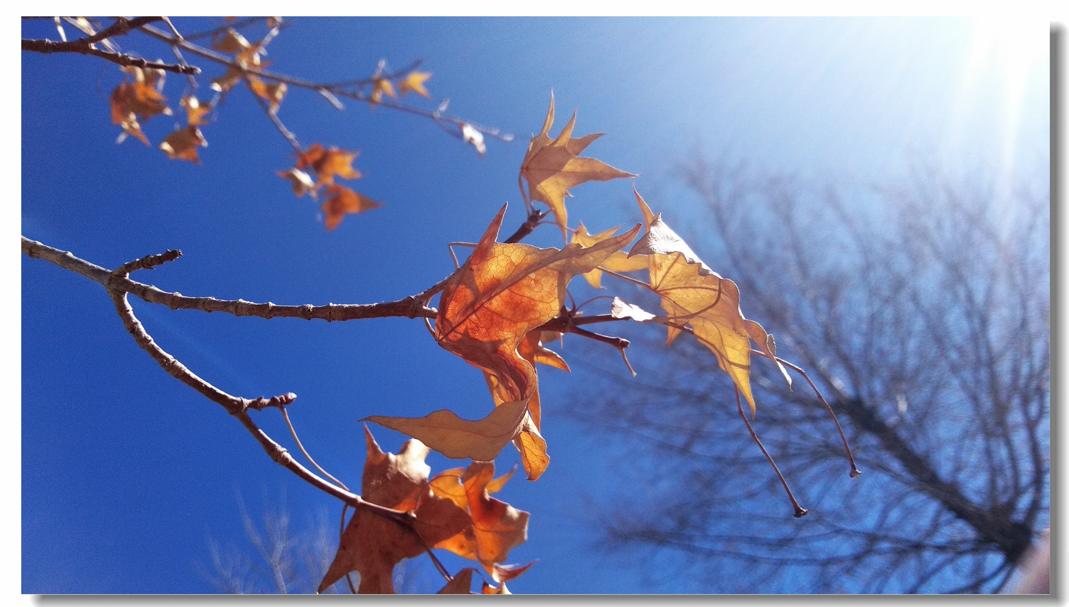海信a151测评,海信a100评测