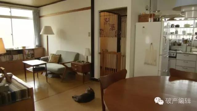 单身女人家里养猫,单身女人养猫