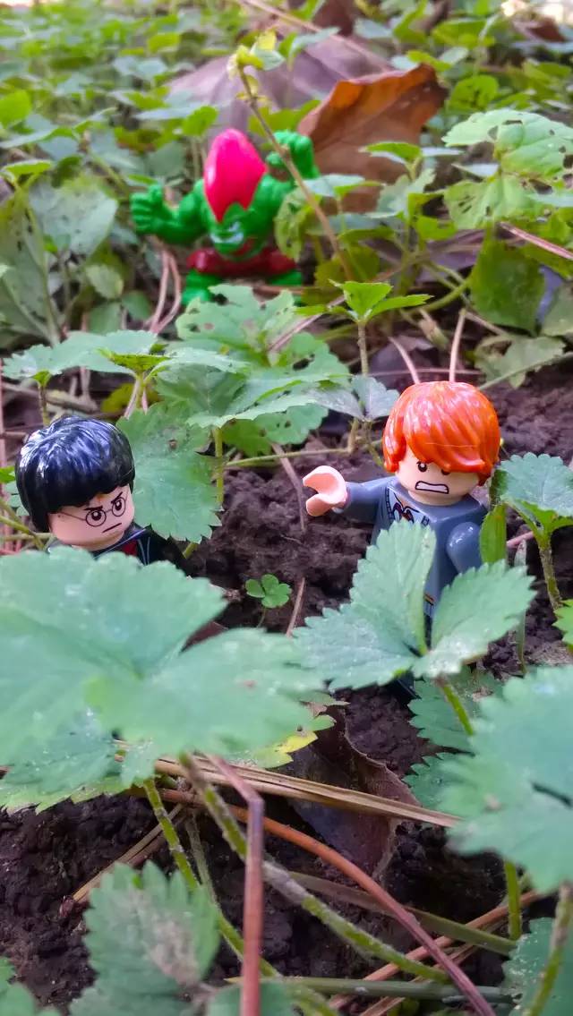 乐高小人国挑战,乐高小人探险之旅